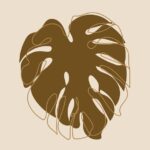 見えていなかった世界が見えたり、氣づいたりすることの不思議さや興味深さ、そしてそれがスムーズに進まない現実をひも解くカギになったり、大きな癒しになる瞬間を見せてもらい、なんだかすごいものを体験した！という驚きと高揚感を感じています。（H.Kさん／多世代療法体験会）