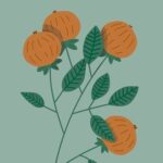 父性の柱を自分の中に立てられたことで、漠然とした不安が消え、目の前の現実も大きく変わり現家族や夫との関わり方が変わってきました。（T.Kさん／クリエイティブ・ハート・ラボ）